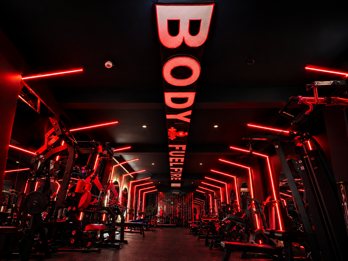 1ST FLOOR OLYMPIC BENCH & POWER BAY